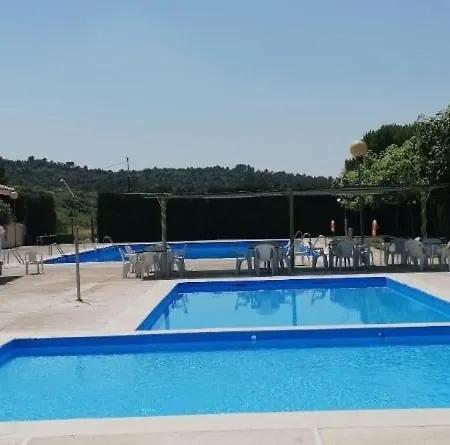 Pinos De *